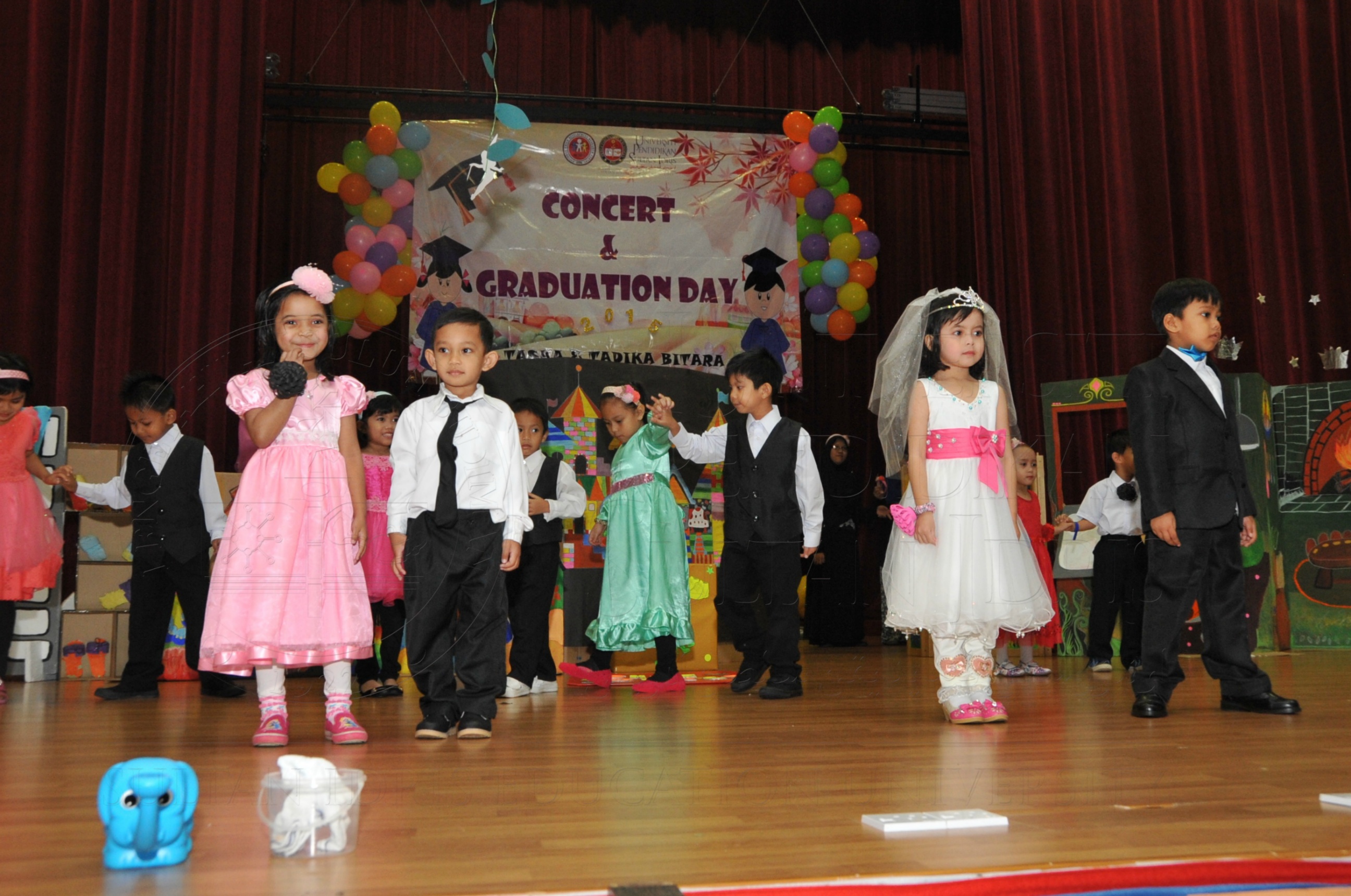 PRO15 163 KONVO HAS 0713